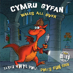 Llyfr Hwyl Dwli/ Dwli's Fun Book: Cymru Gyfan/ Wales All Over